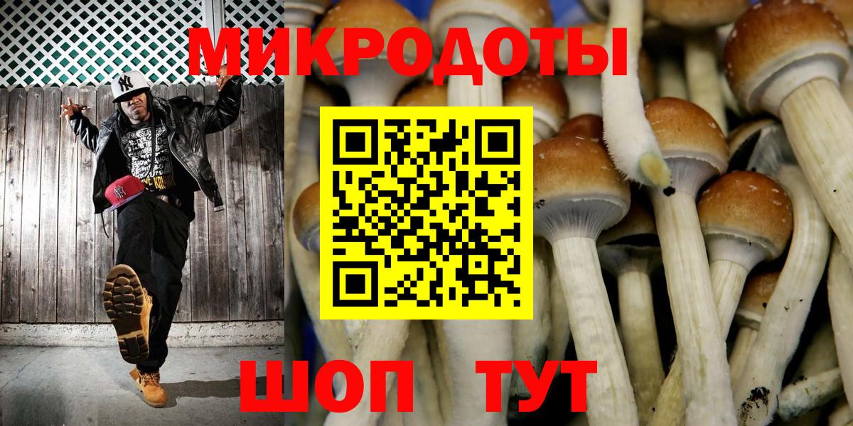Псилоцибиновые грибы прущие грибы Губкинский