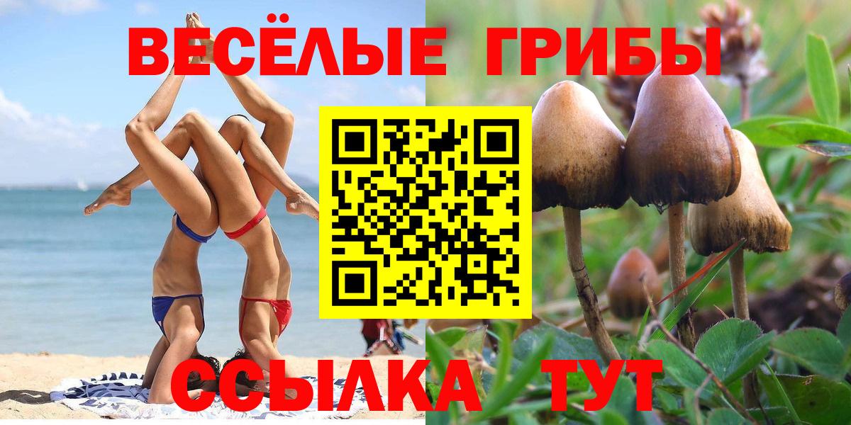 Губкинский  Псилоцибиновые грибы GOLDEN TEACHER  Псилоцибиновые грибы GOLDEN TEACHER  Вход с VPN 